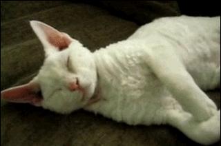 女朋友大姨妈快来了怎么提醒,女朋友来大姨妈的等级