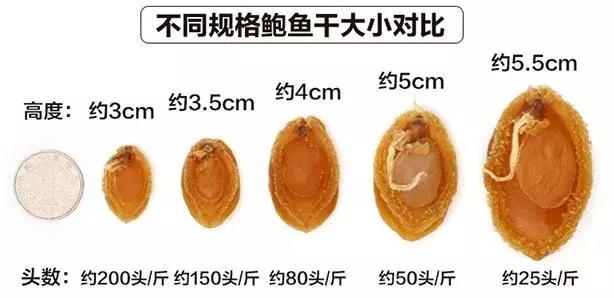 干鲍鱼个头介绍,干鲍鱼有什么规格标准