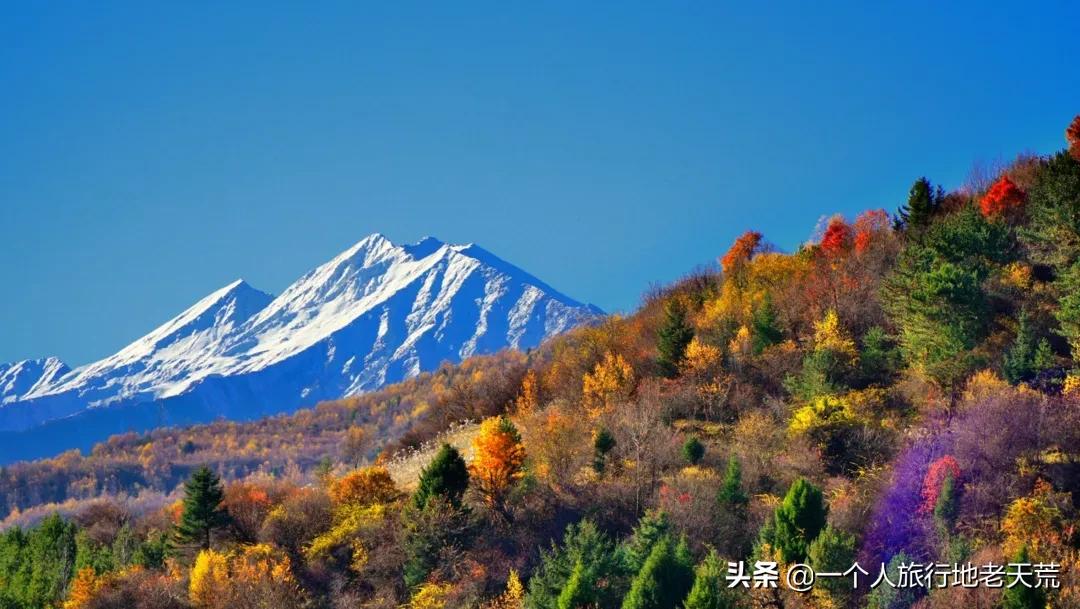 国庆带宝宝去玩的宝藏地方,贵阳国庆周边宝藏地