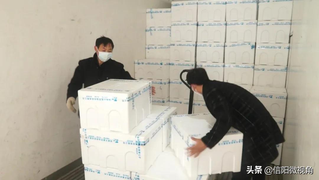 信阳光山蔬菜直通车开进北京城,蔬菜直通车进家门口