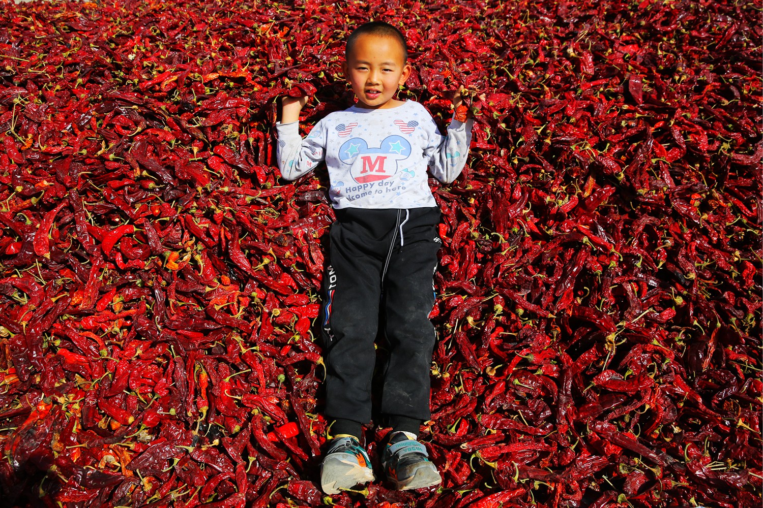 丰收快乐节,农民丰收节唱出丰收喜悦