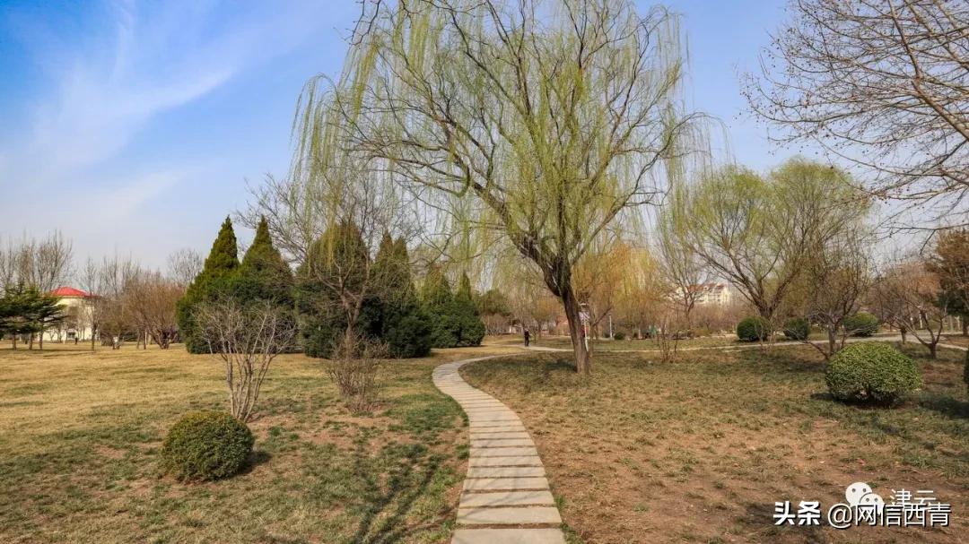 天津新开放的公园,天津水西公园现在恢复开放了吗