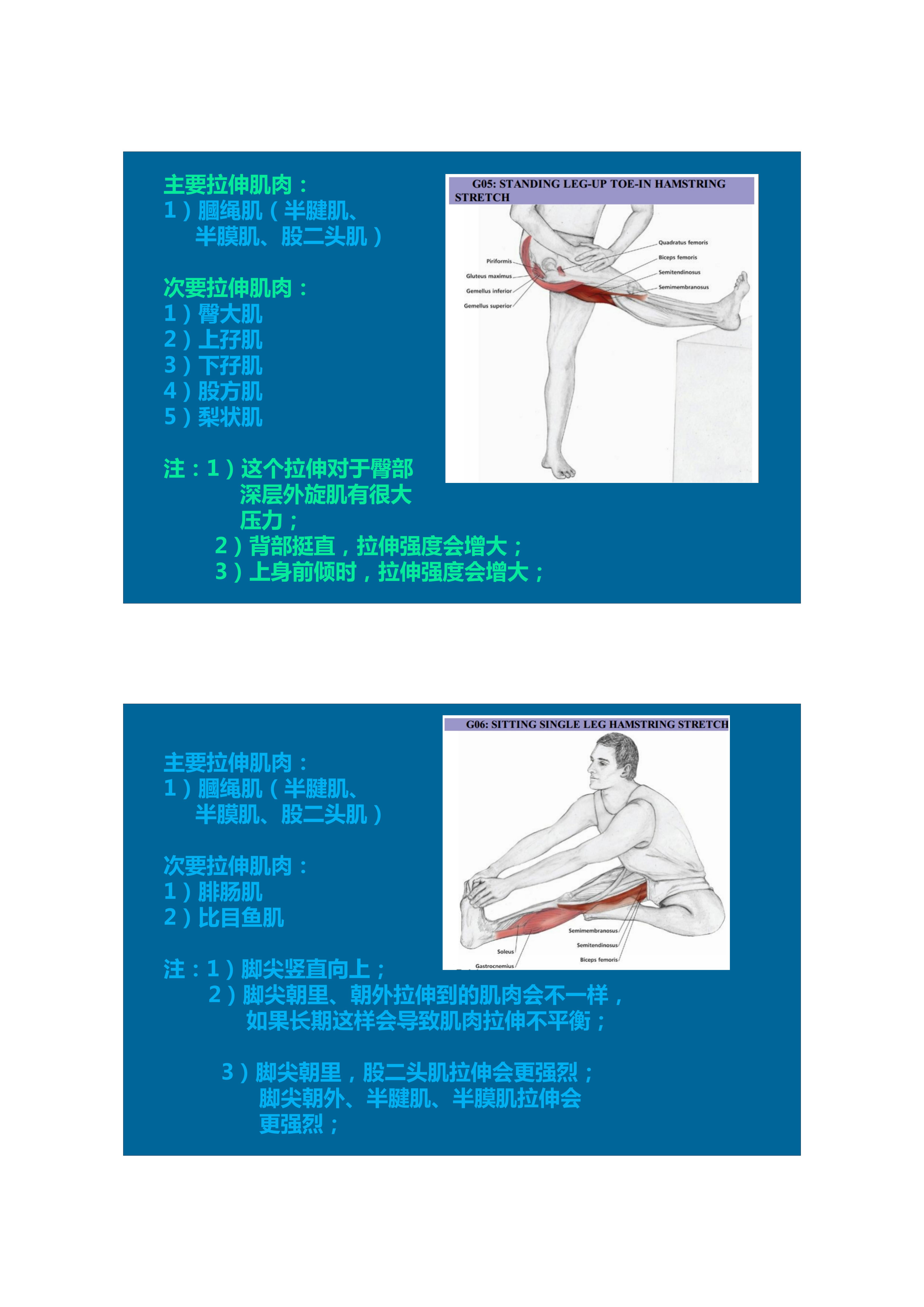 拉伸动态块制作技巧,泰式后背拉伸技巧视频