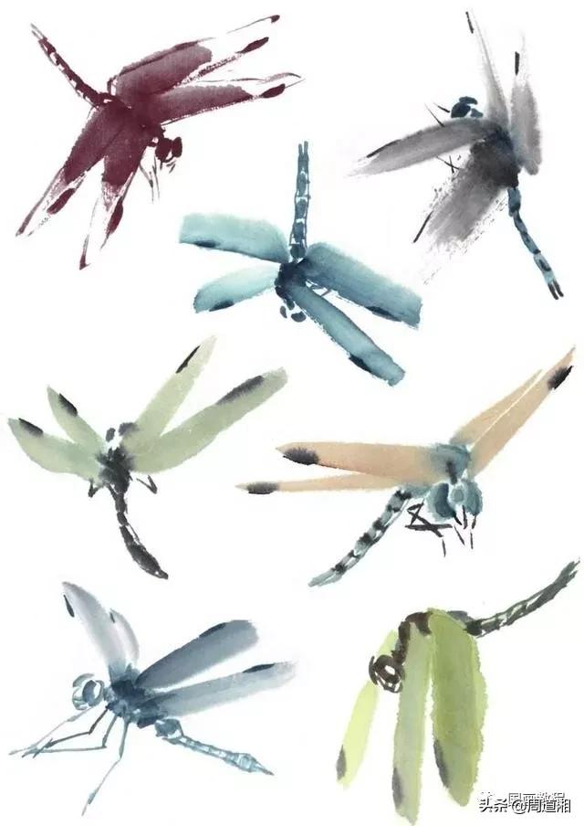 莲花和蜻蜓国画画法,飞行蜻蜓国画图片