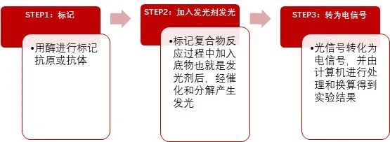 2023年达到500亿的“化学发光”赛道，都有哪些国产玩家？