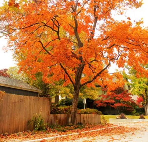 心理测试测你哪方面最出众神准,每日一测此刻时间超准心理测试