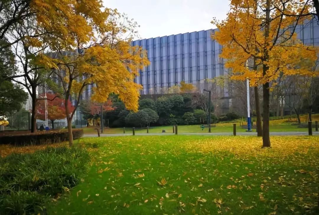 上海可以一路玩下来的地铁线,上海最新41条地铁