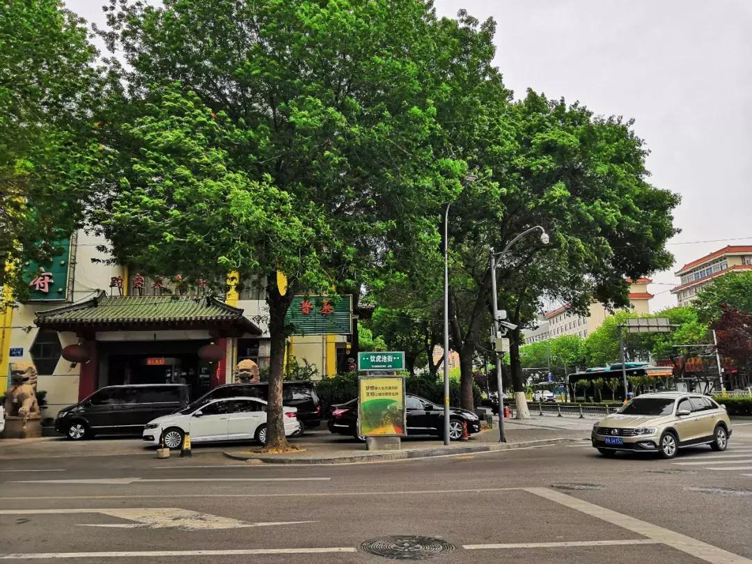 生活在济南城市怎么样才能快乐,生活在老城区的感受