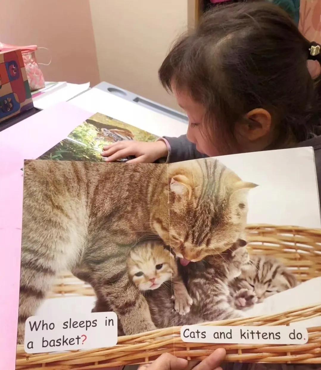 有哪些原版英语书值得启蒙,英文启蒙必备书