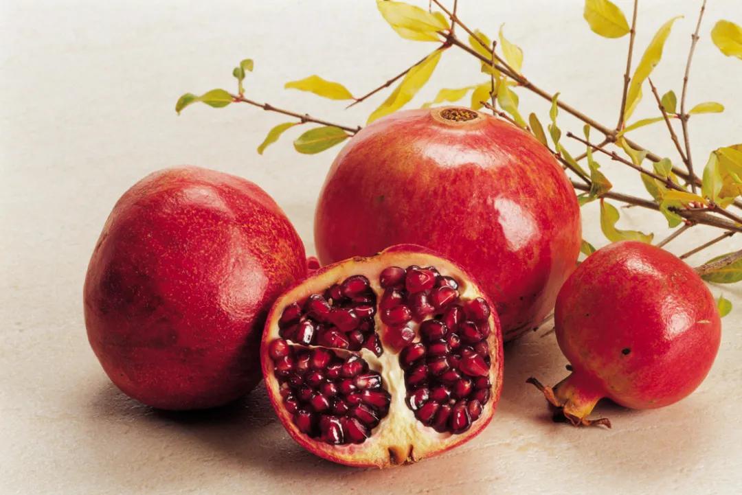 红红火火石榴开花,红红火火的石榴悬挂枝头