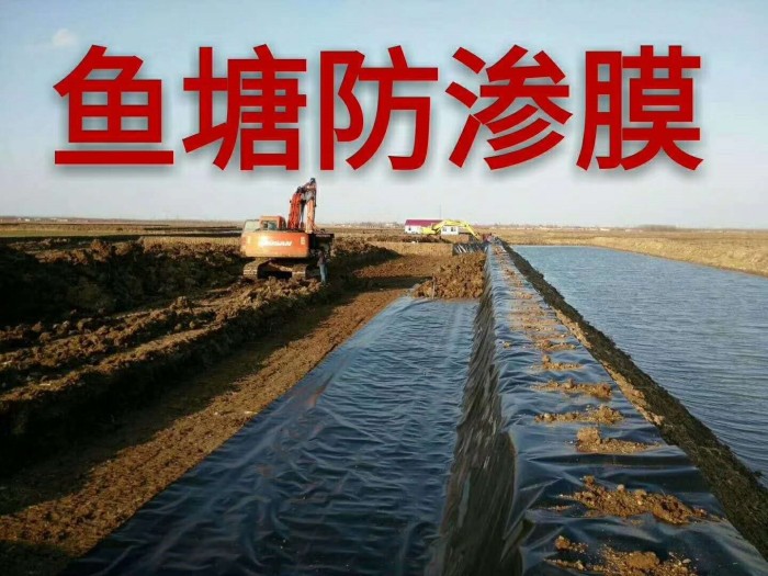 鱼塘专用防渗膜价格是多少,鱼塘防渗膜批发价格