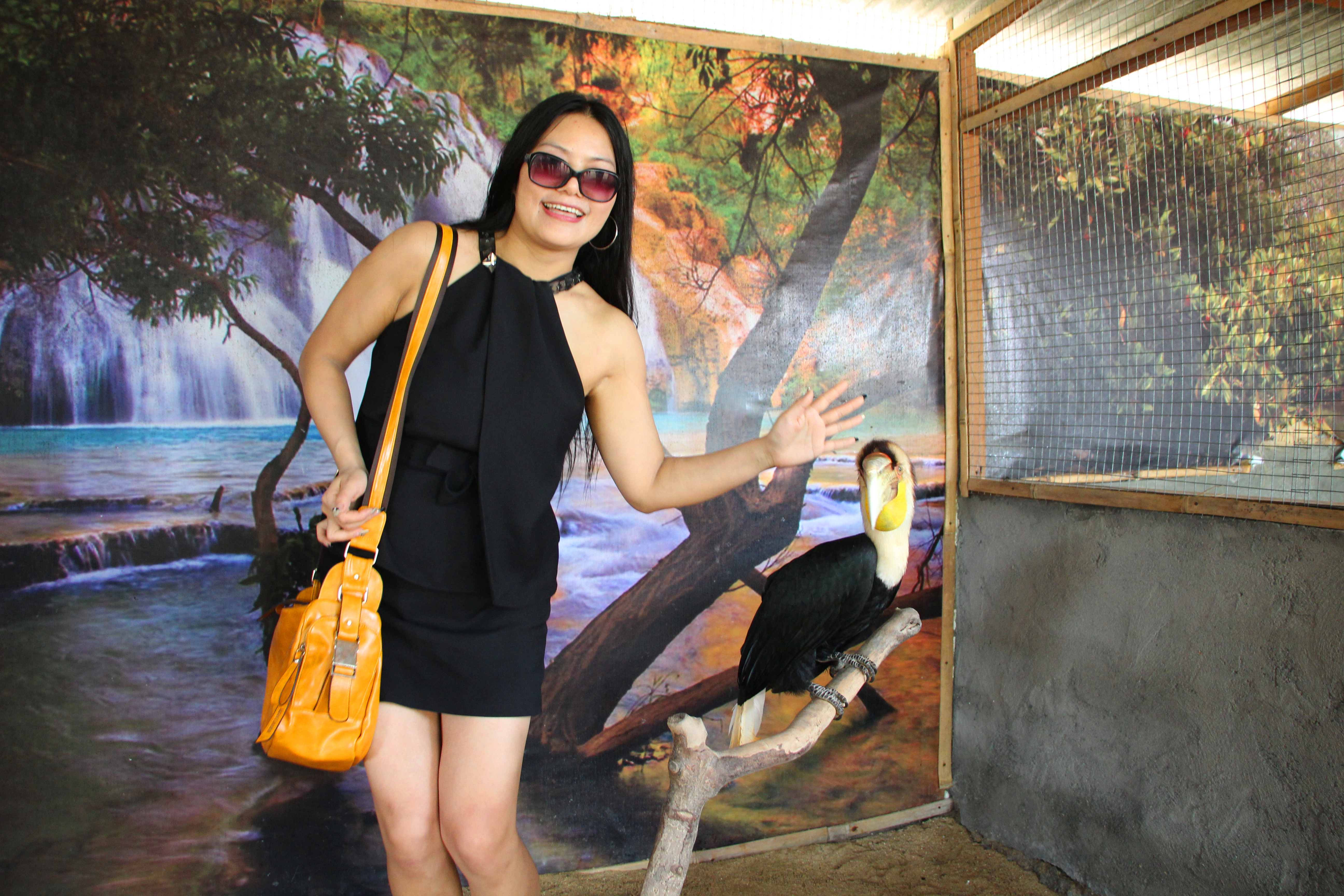 天堂之岛巴厘岛，半自由行攻略和必去景点