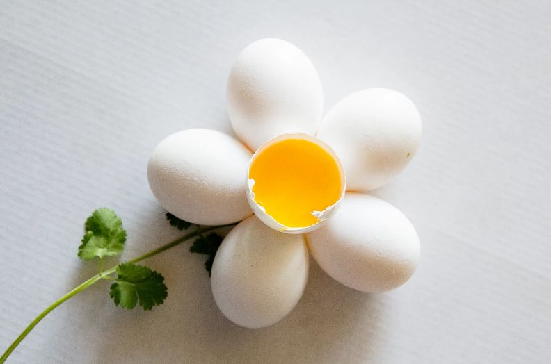 鸡猪牛羊哪个蛋白质高,鱼鸡猪哪种蛋白质多