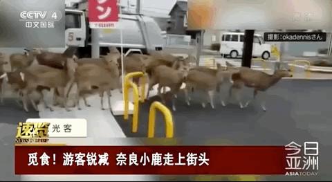 疫情还没结束却被辞退了,疫情还没结束需要辞职吗