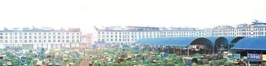 中国蔬菜新鲜批发,中国蔬菜批发市场