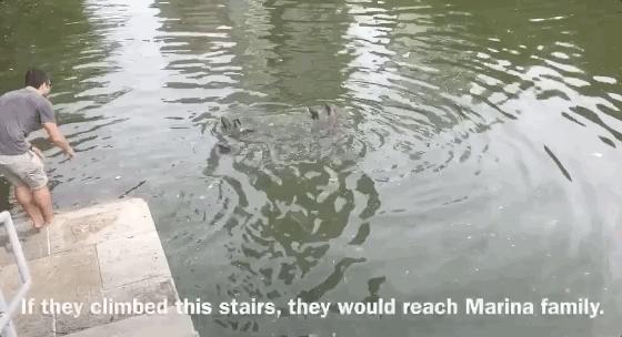 新加坡华人打架斗殴事件,新加坡打架最惨烈的一次