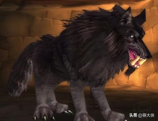 魔兽世界怀旧服：不是猎人也可以拥有的“小宠物”，你值得拥有