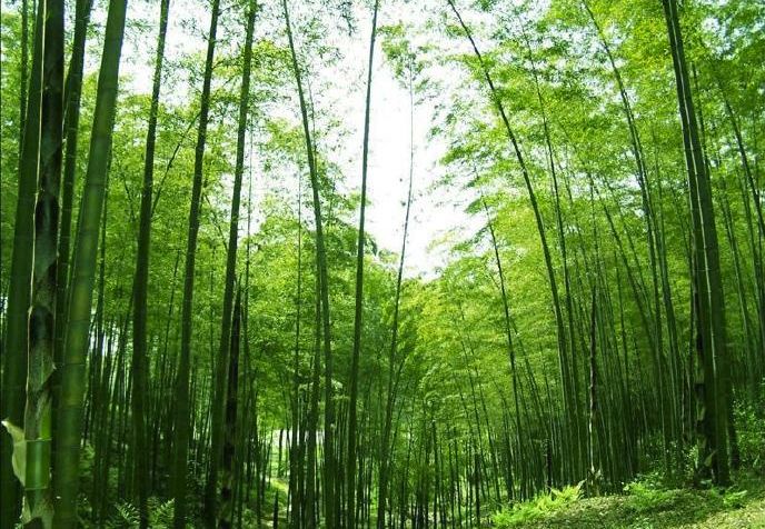 今年夏天的旅行计划,2022旅行愿望清单