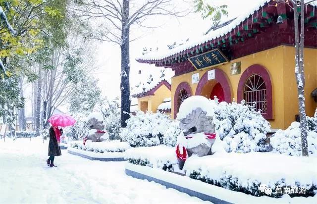 莒南自驾游免费景点大全图片,莒南春季游玩好去处推荐