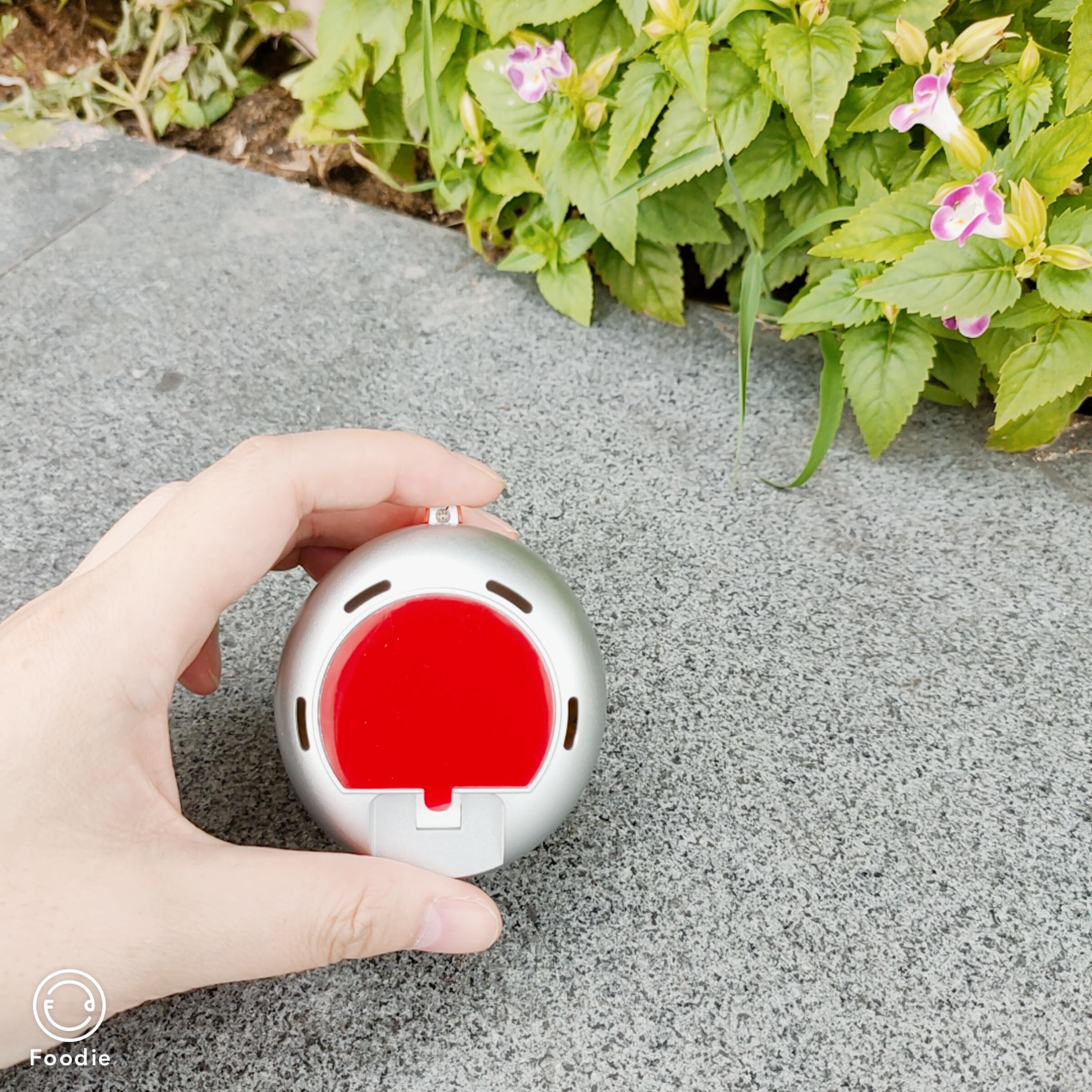 300元以内的儿童电动牙刷测评,宠物电动牙刷好不好