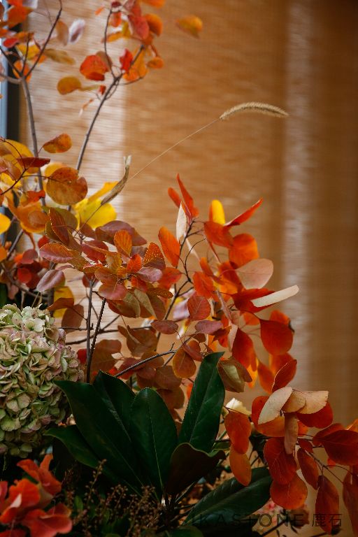 香山漫步美景,香山四季景色