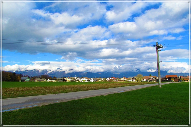 农村创业养殖一年赚152万,在农村养殖什么一年能挣10万元