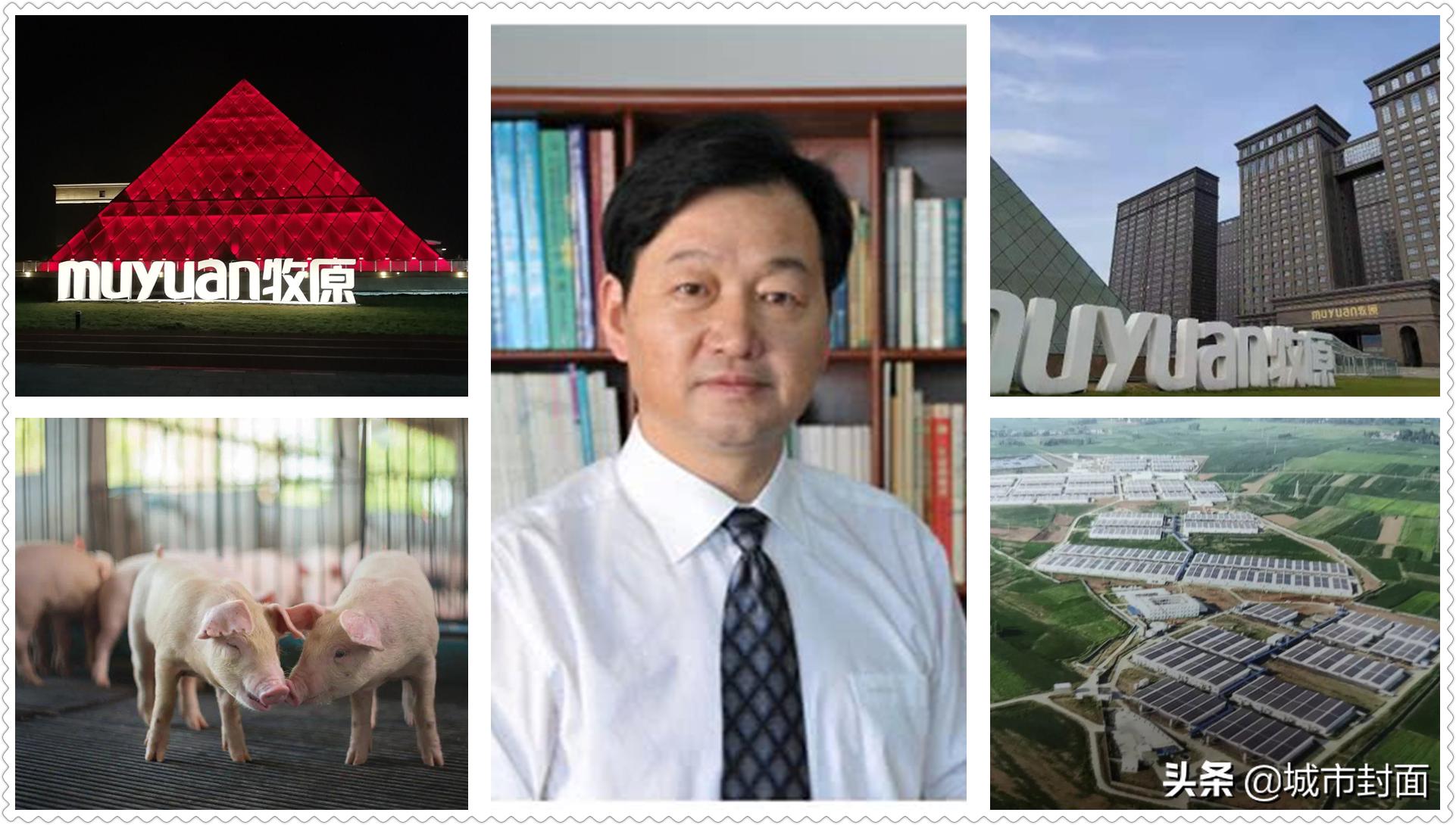 河南籍胡润2022富豪榜,胡润百富榜上的河南富豪图片