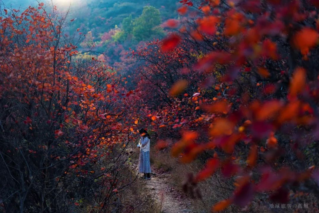 三个月山居生活体验报告——童话里都是骗人的