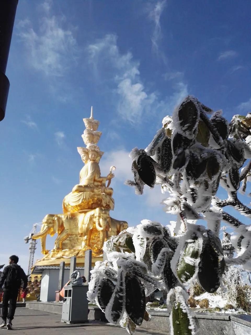 峨眉山有什么灵猴,峨眉山灵猴在哪