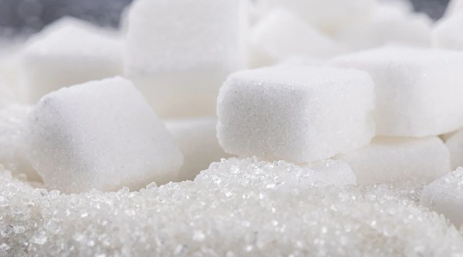 老年人健忘是老年痴呆症吗,老人家老是健忘怎么办