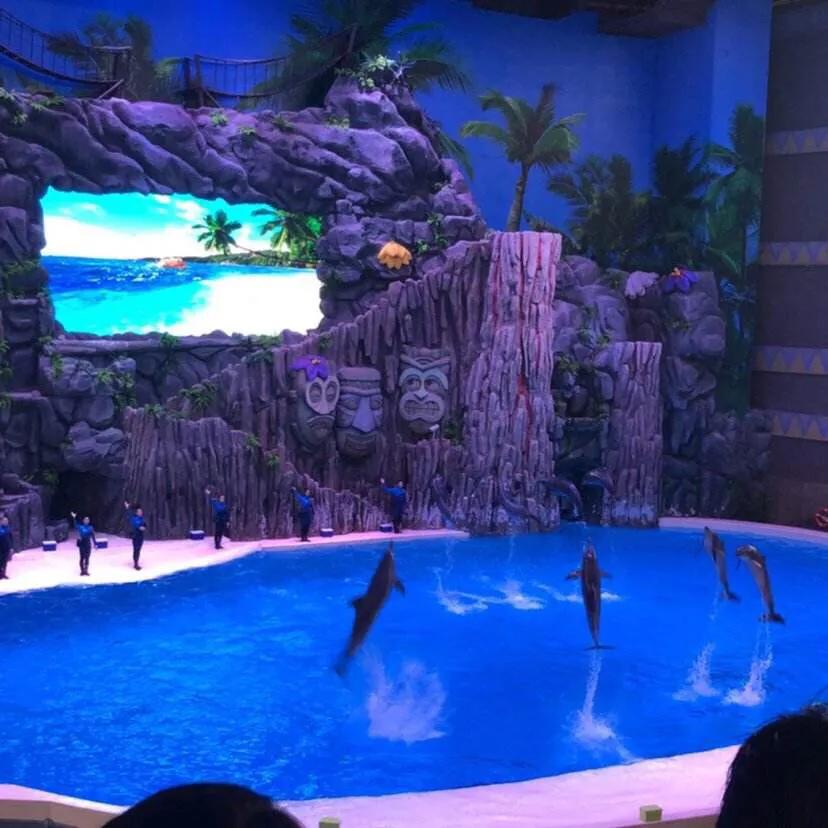 珠海长隆海洋王国美的像童话世界,珠海长隆海洋王国体验游玩