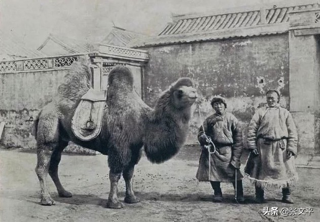 圐圙这个字啥意思,圐圙这读什么字