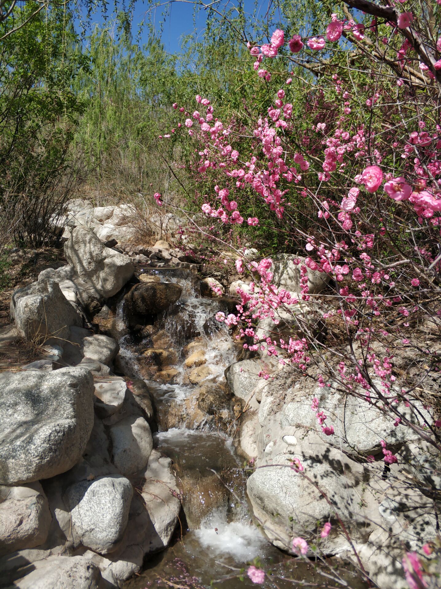 乌鲁木齐居然有这么漂亮的地方,乌鲁木齐周边森林公园在哪里