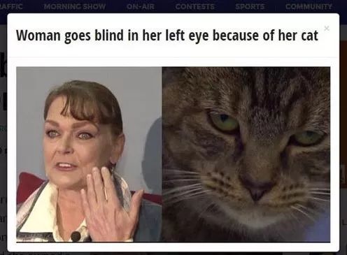 被猫舔证明什么,被猫咪舔过伤口真的会死吗