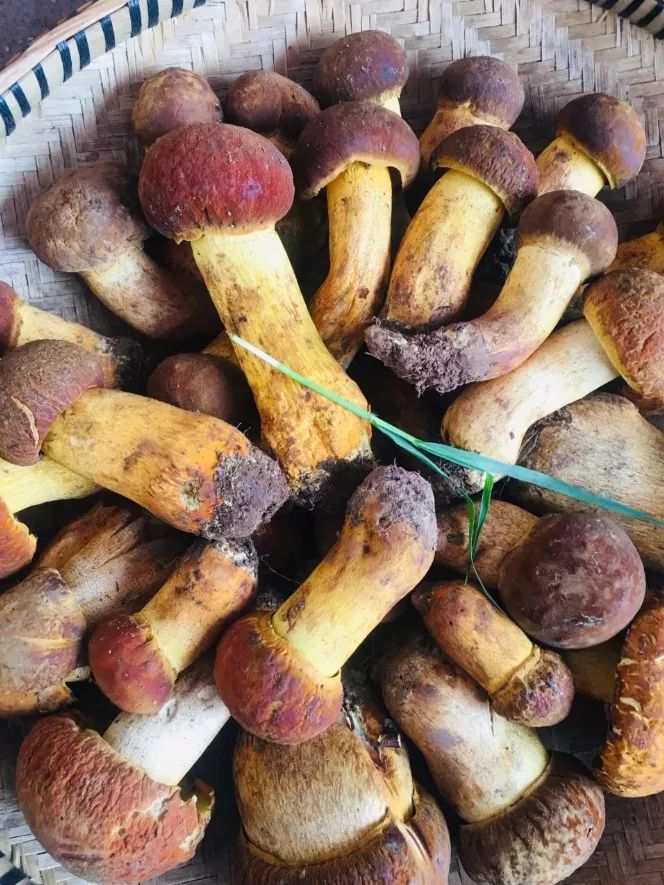 24小时丨吃饱喝足，我醉在了昆明的小夜风里