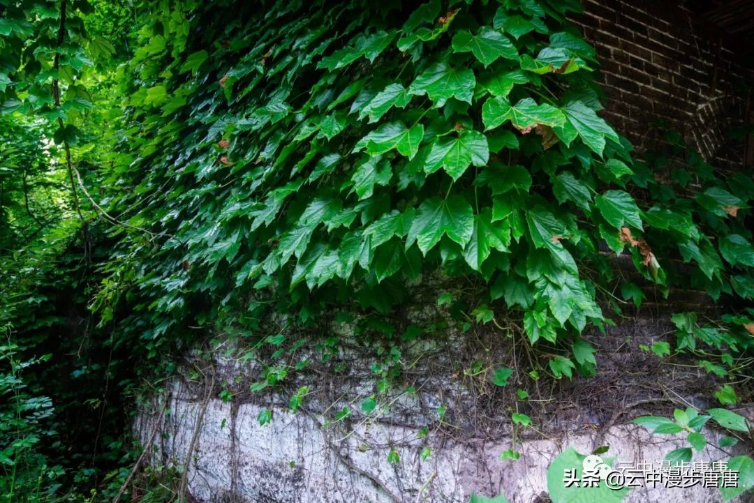 嘉陵江礼安,嘉陵江边周子古镇