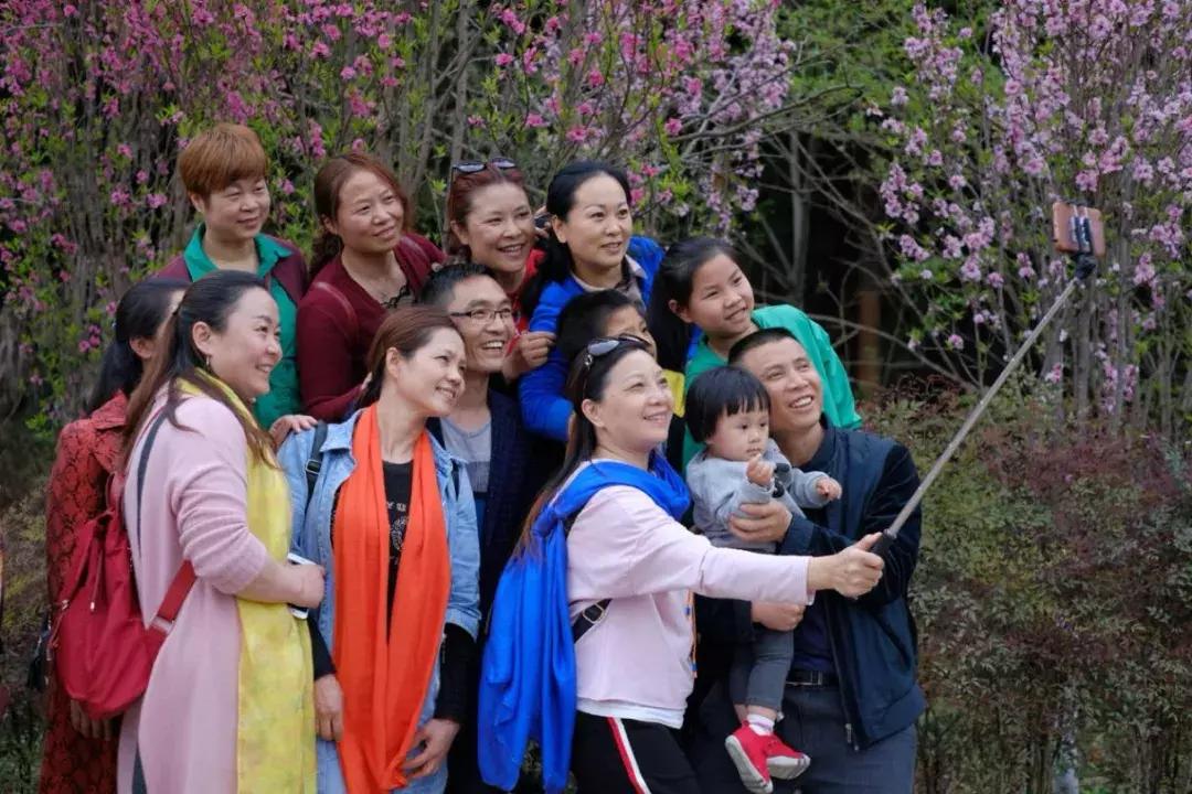 乐山市生态文明,庆祝新中国成立70周年特辑宣讲