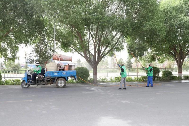 民勤全面开展光肩星天牛防治工作,光肩星天牛防治工作总结