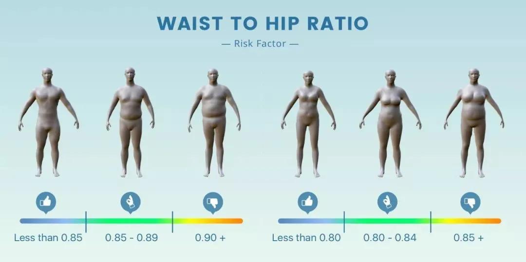 癌症风险预测评估,癌症风险系数排名