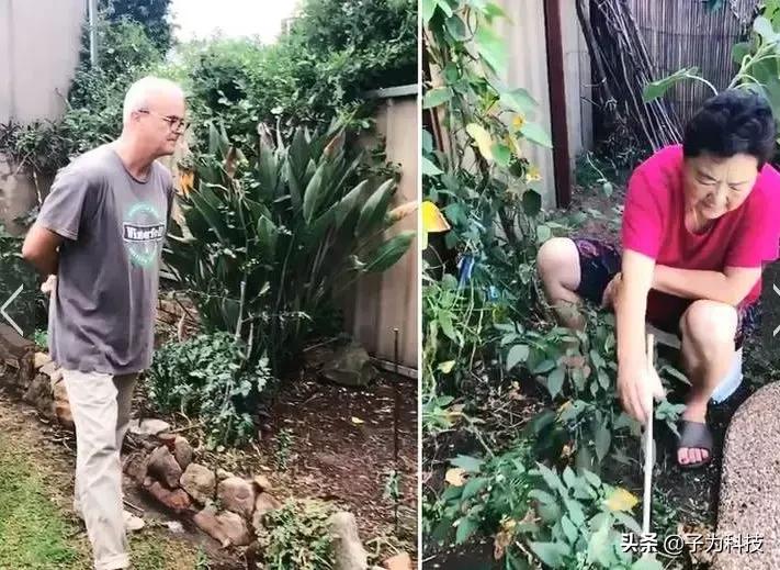 在国外卖皮蛋和咸鸭蛋被抓？歪果警方：不适合人类食用…