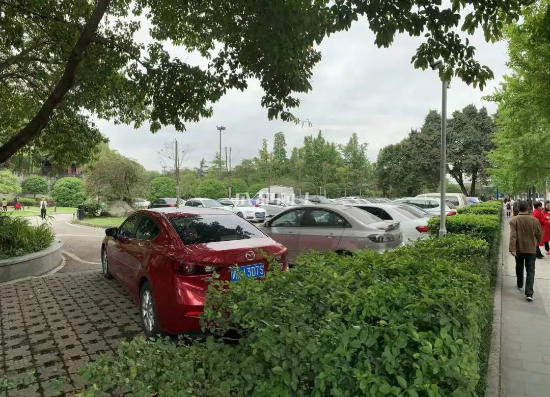 成都公园运营模式,成都公园维护成本