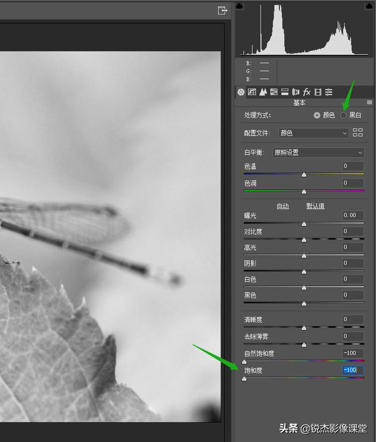 ps怎样调出高质量的黑白照片风景,ps如何给黑白照片上的人物上色