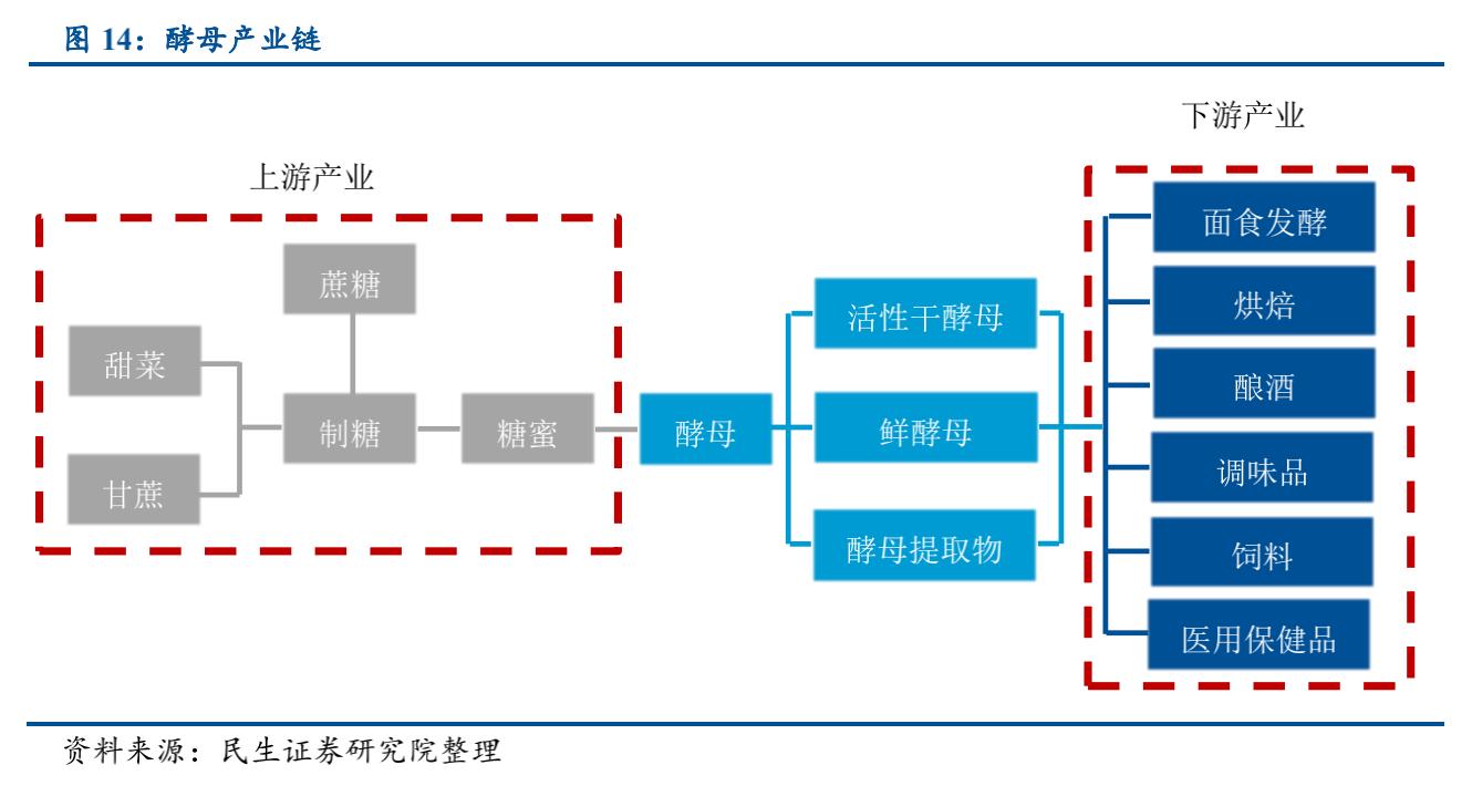 安琪酵母市场份额,安琪酵母发展历程
