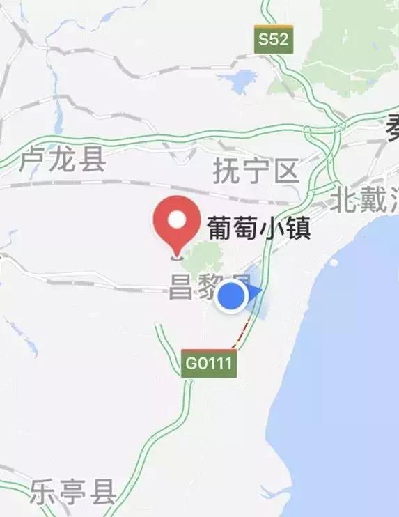 葡萄小镇攻略,长安区南寨西村太阳葡萄小镇