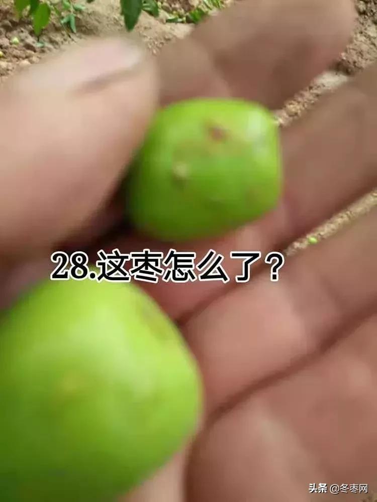 鐢叉祦鍗婁釜鏈堥蓟瀛愪笉閫忔皵鎬庝箞鍥炰簨,鐢插彛涓嶆剤鍚堟槸鎬庝箞鍥炰簨