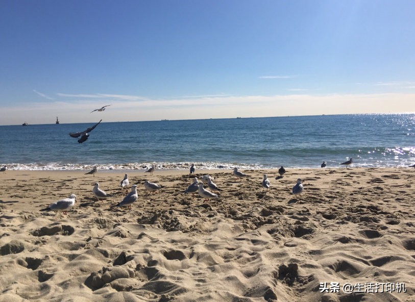 最受韩国欢迎的城市,最受韩国人欢迎的城市