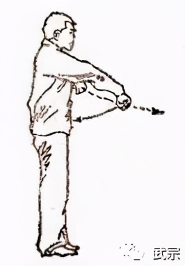 尚派形意拳十二形完整教程,尚云祥形意拳