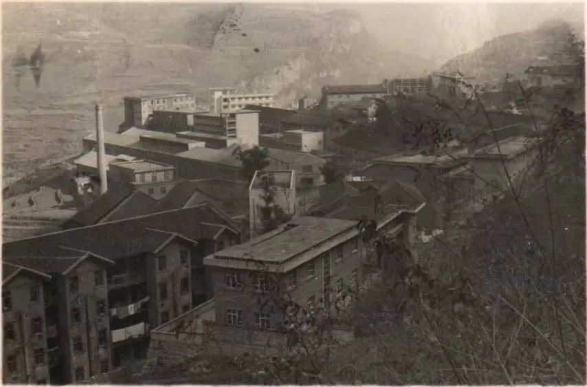 郎酒哪种酒值得收藏,贵州十大酱香名酒郎酒