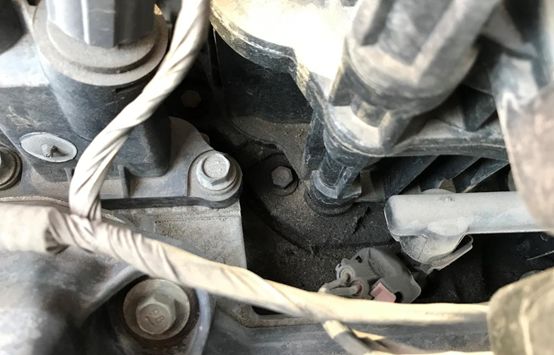 纯美系车羊头,进口美系羊头价格