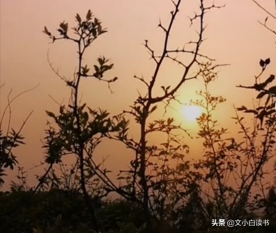 弘一法师李叔同送别创作背景,弘一法师送别李叔同腾讯视频